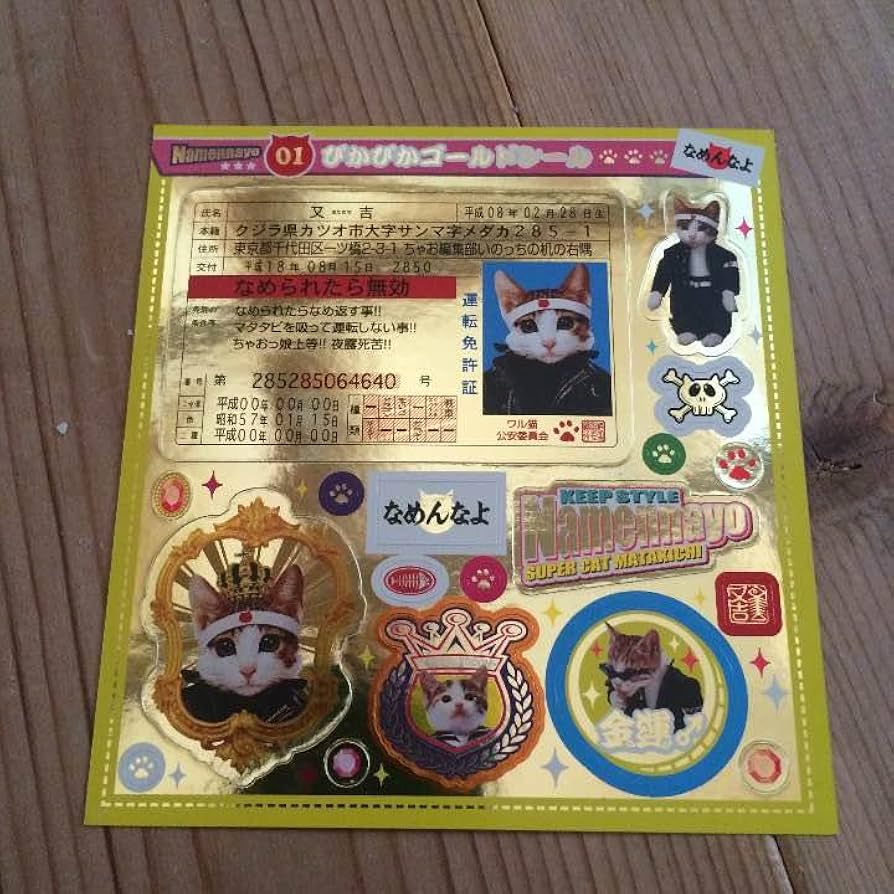 【鏡 なめ猫 ~なめんなよ~ DON´T PELORIAN 壁掛け 】昭和 平成 鏡 なめ猫 ~なめんなよ~ DON´T PELORIAN 壁掛け 】昭和 平成